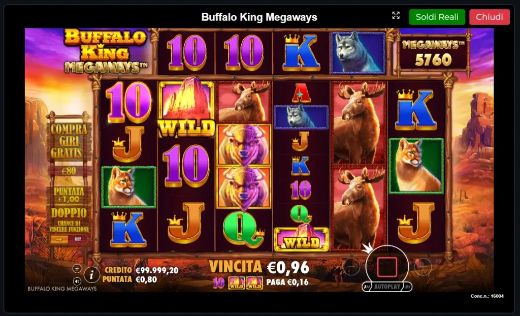 Buffalo King Megaways su E Play 24